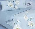 Постельное белье "АльВиТек" ПA-2-751 Поплин, 2 спальный