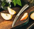 Нож кухонный &quot;Samura REPTILE&quot; овощной 82 мм, AUS-10
