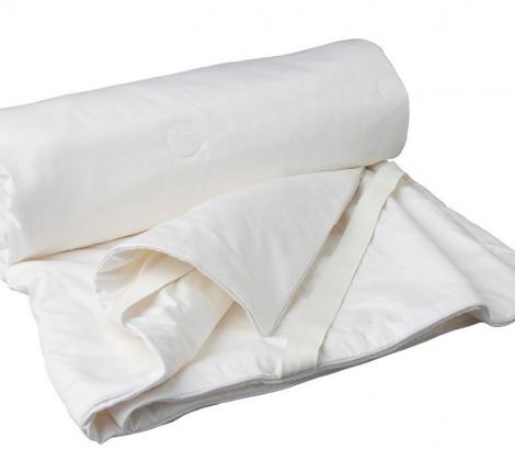 Одеяло шёлковое "Gingerlily" 220х240, зимнее