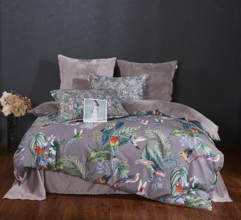Постельное белье "Kazanov.A." Колибри Каллиопа (капучино) Велюр/Egypt Cotton, Евро