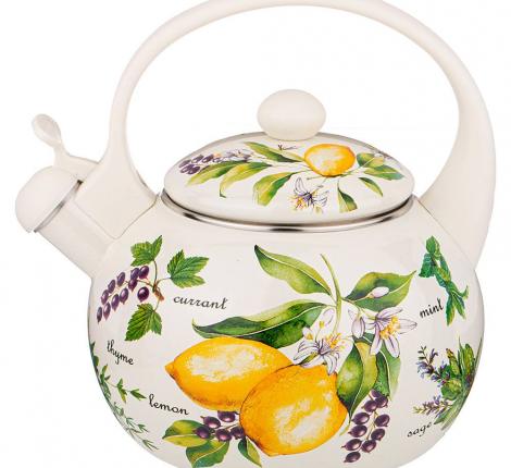 Чайник эмалированный со свистком "СЕКРЕТНЫЕ ИНГРЕДИЕНТЫ", 2,2 л