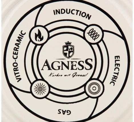 Чайник эмалированный "ЯБЛОНЕВЫЙ САД" 950-533, 1,0 л