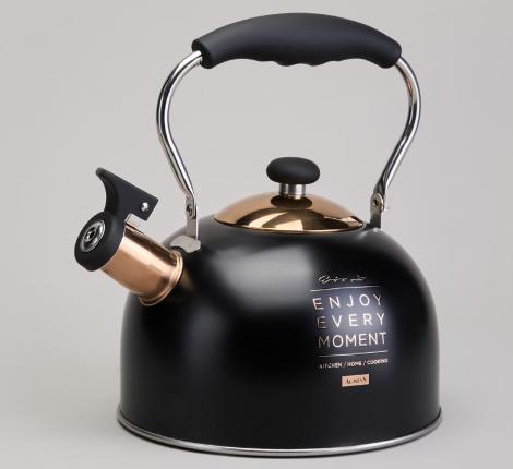 Чайник со свистком "ТЮДОР" 914-162, 2,5 л