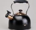Чайник со свистком "ТЮДОР" 914-162, 2,5 л