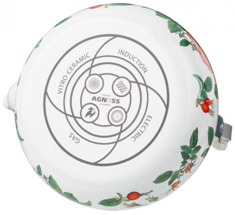 Чайник эмалированный "ШИПОВНИК", 2,5 л