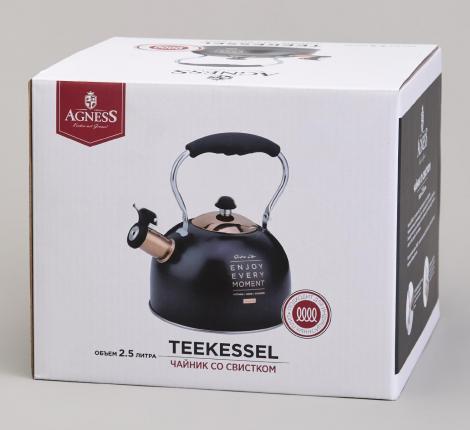 Чайник со свистком "ТЮДОР" 914-162, 2,5 л