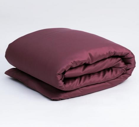 Постельное белье "PURPLE BRILLIANT GRASS" 132405070 Тенсел, Евро