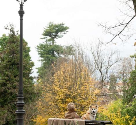 Плед шерстяной Frati "BOSCO" VERDE (бежево-зеленый), 150x190