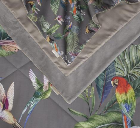 Постельное белье с одеялом "Kazanov.A." Колибри Каллиопа (капучино) Велюр/Egypt Cotton, Евро