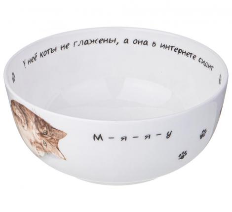 Салатник-тарелка суповая "БЕРИ КОТА" 15,5*6,5 СМ 750 МЛ, РАЗНОЦВЕТНЫЙ (КОР=36ШТ.)