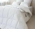 Одеяло пуховое "СЮИТА БЕЛАЯ", 172х205
