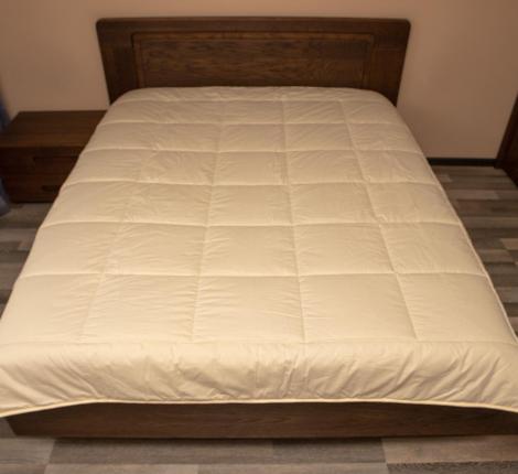 Одеяло всесезонное "ДАР ВОСТОКА", 200x200