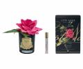 Ароматизированная французская роза "COTE NOIRE" (ярко-розовый) черная ваза, 1 спрей 15 мл