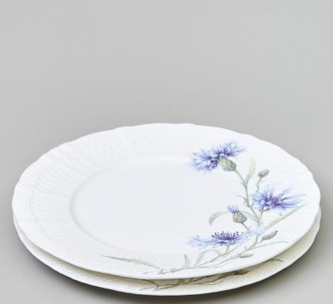 Набор закусочных тарелок 2 штуки "ВАСИЛЬКИ", диаметр 20,5 см