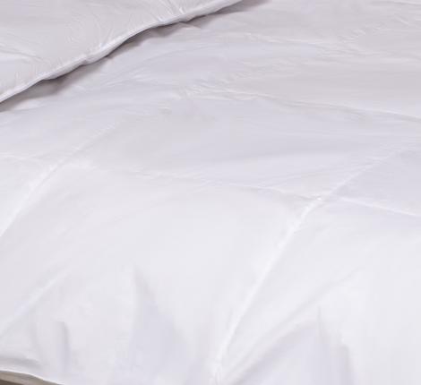 Одеяло пуховое Алфея 200x220, лёгкое