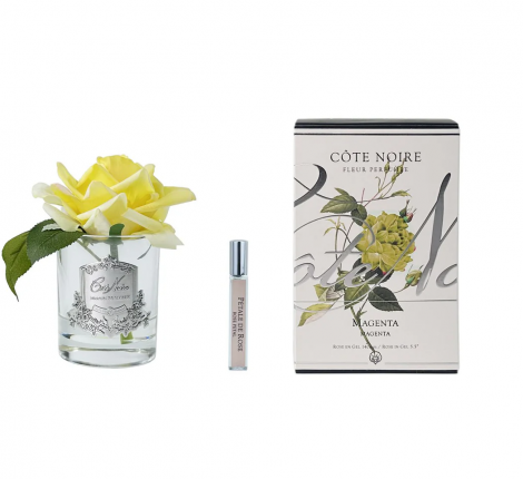 Ароматизированная французская роза "COTE NOIRE" (жёлтый) прозрачная ваза, 1 спрей 10 мл