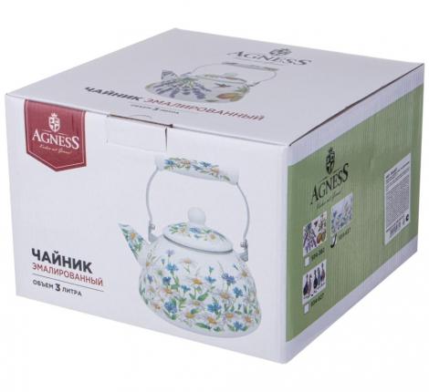 Чайник эмалированный "SENTIMENT", 3,0 л