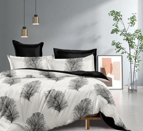 Постельное бельё "Tango" Dream Fly DF02-535-70 Микросатин, 2 спальный