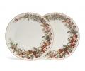 Набор обеденных тарелок 2 штуки "МОРОЗКО", диаметр 27 см