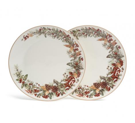 Набор обеденных тарелок 2 штуки "МОРОЗКО", диаметр 27 см