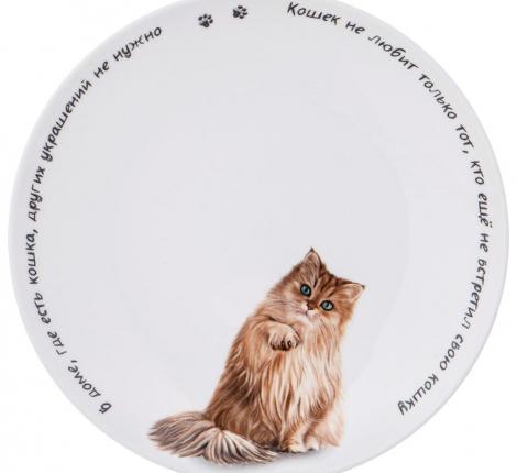 Тарелка закусочная "БЕРИ КОТА" 104-963-11, диаметр 20,5 см