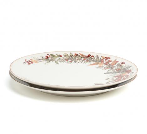 Набор обеденных тарелок 2 штуки "МОРОЗКО", диаметр 27 см