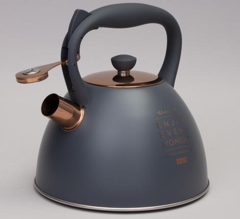 Чайник со свистком "ТЮДОР" 914-156, 3,0 л