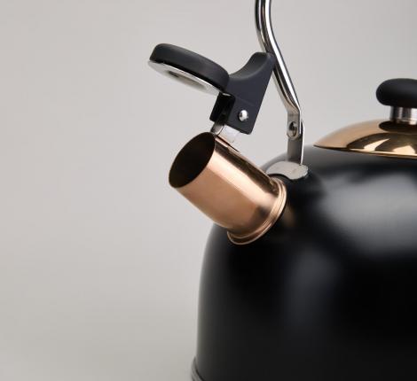 Чайник со свистком "ТЮДОР" 914-162, 2,5 л