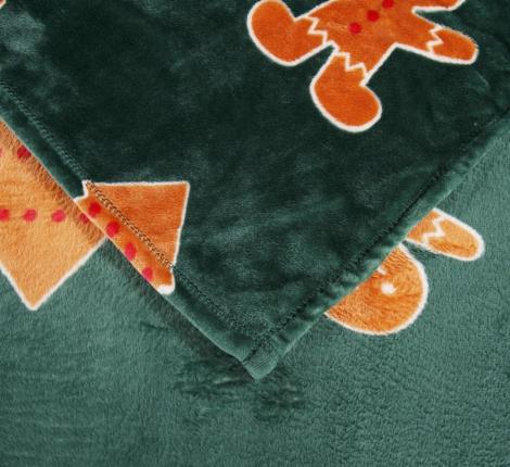 Плед "Sofi de Marko" Christmas Сake (зеленый) Велсофт, 150х200