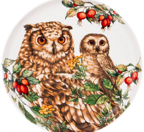 Тарелка закусочная "ЛЕСНАЯ СКАЗКА" СОВА 590-389, диаметр 20,5 см