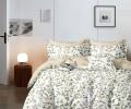 Постельное белье Valtery AP-167 Поплин, 2 спальный
