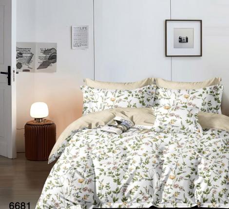 Постельное белье Valtery AP-167 Поплин, 2 спальный