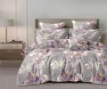 Постельное белье Valtery AP-177 Поплин, Семейный