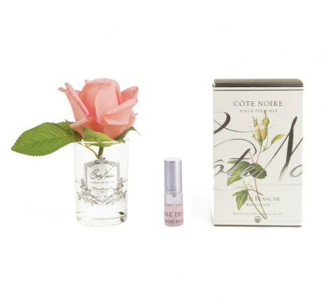 Ароматизированная роза "COTE NOIRE" (коралловый) прозрачная ваза, 1 спрей 5 мл 13,5х8х