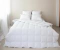 Одеяло пуховое "СЮИТА БЕЛАЯ", 200х220