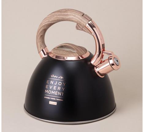 Чайник со свистком "ТЮДОР" 908-072, 3,0 л