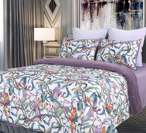 Постельное белье с одеялом "Kazanov.A." Колибри (аметист/жемчуг) Велюр/Egypt Cotton, Семейный