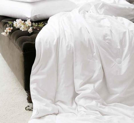 Одеяло шёлковое "Gingerlily" 220х240, зимнее