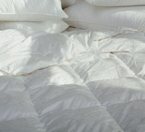 Одеяло всесезонное "PRINCESS DOWN GRASS", 200х220