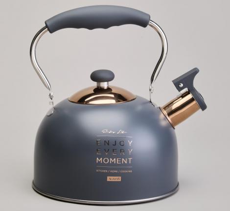 Чайник со свистком "ТЮДОР" 914-161, 2,5 л