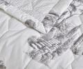 Покрывало стёганое "Blanc des Vosges" PROMENADE graphite (графит),  250х270