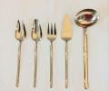 Набор столовых приборов для сервировки "STICK SERVING SET" CHAMPAGNE, 5 предметов