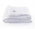 Одеяло всесезонное "Primavelle" Swan Premium, 172х205