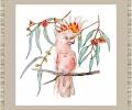 Постер "WANG:PINK COCKATOO", 55х55