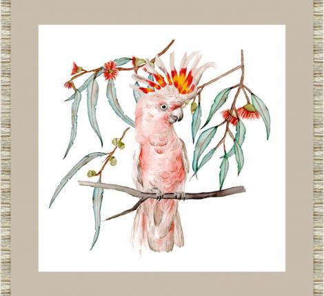 Постер "WANG:PINK COCKATOO", 55х55