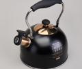 Чайник со свистком "ТЮДОР" 914-162, 2,5 л