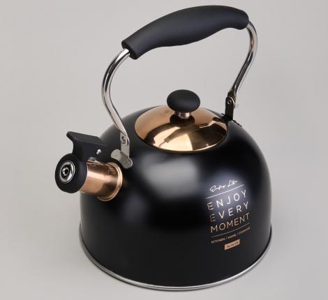 Чайник со свистком "ТЮДОР" 914-162, 2,5 л