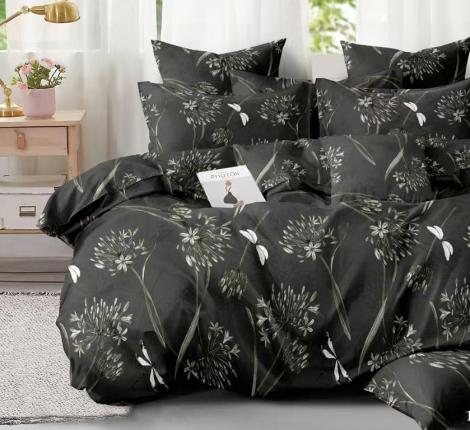 Постельное бельё "Cleo" Art Color 31/163-AC Полисатин, Евро