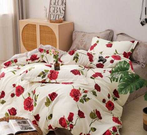 Постельное белье "Tango" Twill TPIG6-1852, Евро