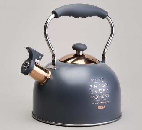 Чайник со свистком "ТЮДОР" 914-161, 2,5 л